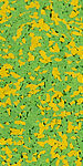 bright yellow/bright green