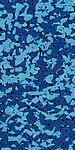 bright blue/dark blue